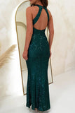 Sexy Formal Elegant Sequins Backless V Neck Long Dresses(4 Colors)